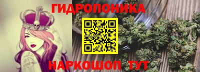 дживик Кунгур